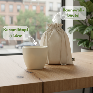 Bio-Erde im braunen Standbodenbeutel mit Sichtfenster, Zip-Verschluss, 600g, torfreduziert, Natur Macher.