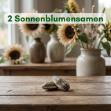 2 Sonnenblumen-Samen – Lass die Sonne herein