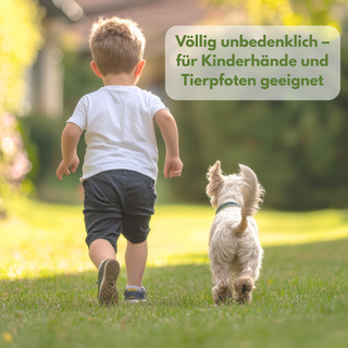 Darmstadt-Topf Anzuchtglocke:  Transparente Haube (4,5x2,5cm) für Keimung, sicher & langlebig. Ideal für den Darmstadt-Topf.