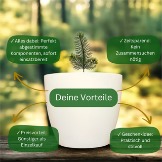 Weißer Blumentopf mit kleinem Bäumchen, graviert mit Löwe (nicht abgebildet). Perfektes Geschenk: abgestimmte Komponenten,...