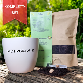 Weißer Blumentopf mit Ginkgo-Samen und Anzuchterde, Löwenmotiv Gravur. Komplett-Set von Natur Macher.