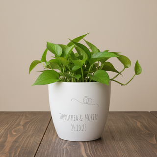 Mein Blumentopf-Designer - Geschenk - Blumentopf graviert