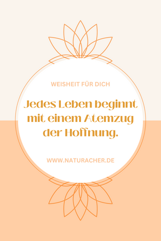 spruch