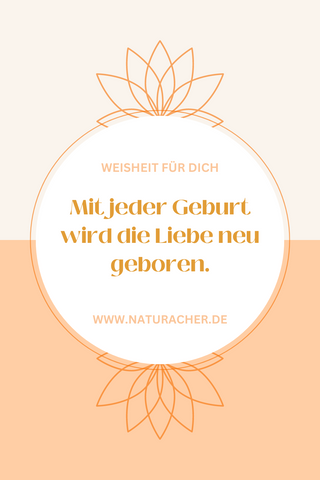 spruch