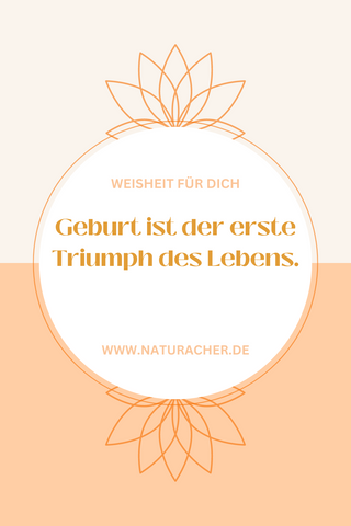 spruch