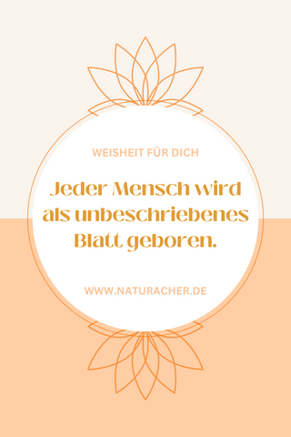 spruch