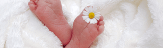 babyfüße mit blume