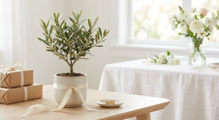 Pflanze zur Hochzeit: Das nachhaltige Geschenk mit Bedeutung