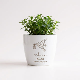 Personalisierter Hochglanz-Blumentopf als Geschenk zur Geburt mit Storch, Name Anna und Geburtsdaten