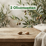 2 Olivenbaum-Samen – Mediterranes Grün für dein Zuhause