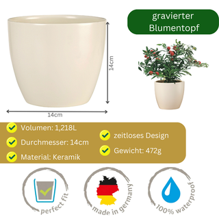 Abschlussgeschenk - Blumentopf graviert - Master gemeistert