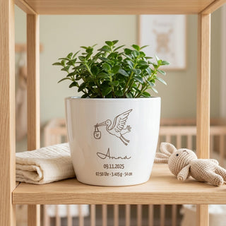 Personalisierter Blumentopf zur Geburt im Babyzimmer auf einem Holzregal