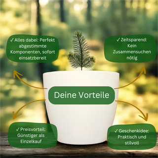 Abschlussgeschenk - Blumentopf graviert - Promotion gemeistert