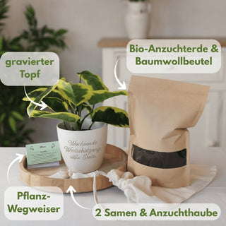 Gravierter Blumentopf 'Wachsende Wertschätzung' als Geschenk für Imker. Imkerin bei der Arbeit im Hintergrund.
