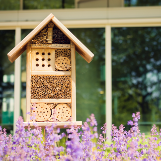 Insektenhotel bauen mit Kindern – Schritt-für-Schritt-Anleitung