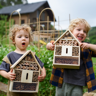 Insektenhotel bauen mit Kindern – Schritt-für-Schritt-Anleitung