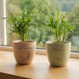 Mini Palm - personalisierter Blumentopf zur Geburt