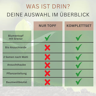 Nahaufnahme eines Pflanzensamens in Erde, ideal für personalisierten Blumentopf mit Gravur 'Schulabschluss' als nachhaltiges Geschenk.