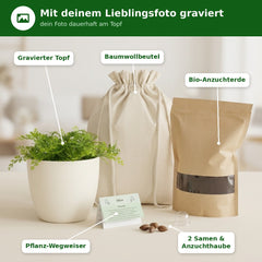 Komplettset