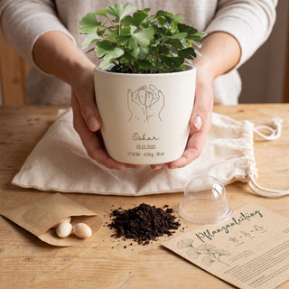 Geschenk zur Geburt Komplettset: cremefarbener Blumentopf mit Gravur, Anzuchterde, Ginkgo-Samen, Anzuchthaube, Pflanzanleitung und Baumwollbeutel