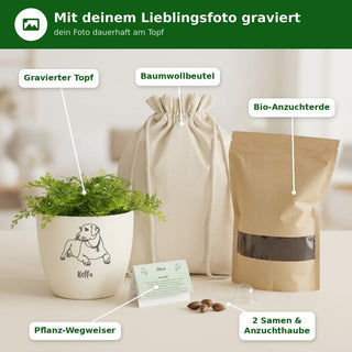 Komplettset mit graviertem Haustier-Blumentopf, Baumwollbeutel, Bio-Anzuchterde, Pflanz-Wegweiser, 2 Samen und Anzuchthaube