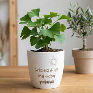 Personalisierter Blumentopf-Designer – Hochglanz Edition