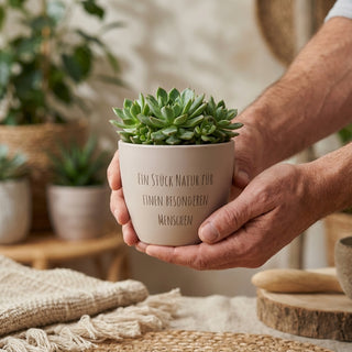 Mini Solo – personalisiertes Geschenk im Mini-Format