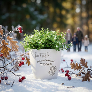 Weihnachtsgeschenk - Blumentopf graviert - Pinguin