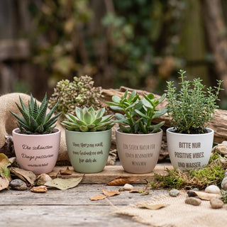 Mini Solo – personalisiertes Geschenk im Mini-Format