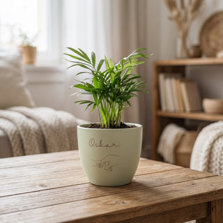 Mini Palm - personalisierter Blumentopf zur Geburt