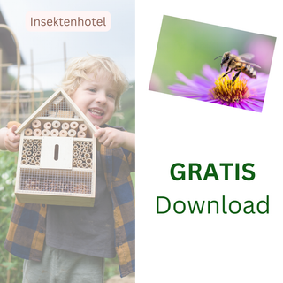 Insektenhotel bauen mit Kindern – Schritt-für-Schritt-Anleitung