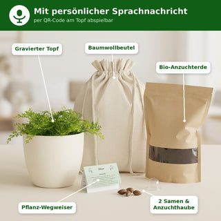 Sprachtopf mit Stimme – Blumentopf graviert
